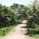 이곡장미공원 이미지