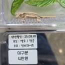 원주브리딩 네이버블로그
