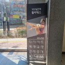 [필라테스지도자자격증/협회] <13> 케이피 필라테스 협회(kpee) 추천 이유_"PTT #1"(100일간의 필라테스)
