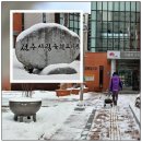 평화꿈틀작은도서관 이미지