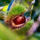 치항병원 이미지