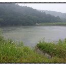 영광흑염소농장 이미지