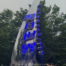 네오트론 | 중국 상하이 디즈니랜드 트론 꿀팁 속도 후기 놀이기구 잘 못 타는 사람도 탈 수 있을지 없을지 알려드림!