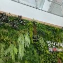동면 작은도서관 이미지