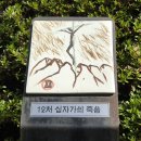 창녕 성당 이미지