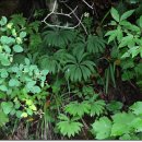 우산농장 이미지