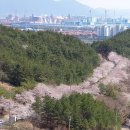 파리바게트무등점