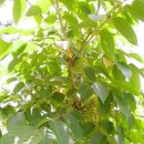 문헌농장 이미지