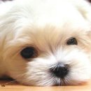 한자로의 산책 이미지