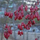 장다리천 이미지