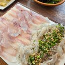 팔딱팔딱횟집 이미지