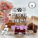 멍's텔라 | [대구 강아지수제간식] 멍's텔라(멍스텔라) 애견간식 원데이클래스 과정 및 후기