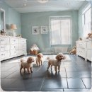 경기도동물위생시험소 부설 동물병원 | 검단 말티즈분양 철저한 준비가 만드는 완벽한 시작