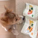 코코까까 이미지