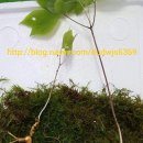 서창사슴농장 이미지