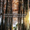 * 성령님의 은사보다 사랑을 추구하라! (1) - 조태성 이미지