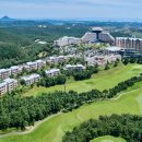 소노캄 델피노C 네이버블로그