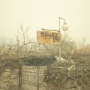 앵두나무집민박 이미지