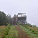 하루산책 이미지