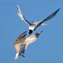 아름다운 동행 이미지