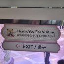[美 일상] 평일에 롯데월드 갔다 온 썰 푼다~!!! feat. 롯데월드 할인 / 하나카드 / SKT 멤버십 / 이달...