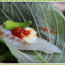 한림일품 이미지