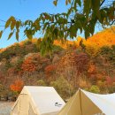 깊은골 캠핑장 이미지