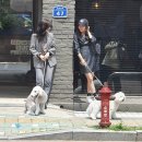 미스스튜디오 이미지