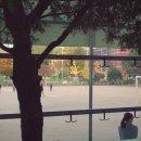 호곡초등학교 이미지