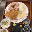 동백카츠 이미지
