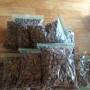 구름호수마을(운호마을) 이미지