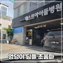 생후 2개월 아기 엉덩이 딤플 초음파 후기 (비용, 실비청구)