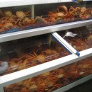 포항죽도어시장 이미지