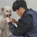 힐링그루밍 이미지
