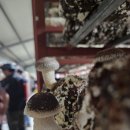 김창원농장 이미지