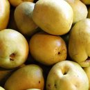 R114공인중개사사무소 이미지