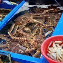 가락수산회센타