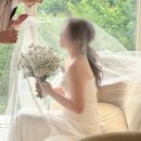플루비아 | 플루비아 플라워 촬영부케 후기!(내돈내산)