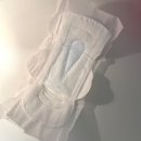 유한킴벌리 디펜드 스타일 3종 비교 후기