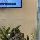 Dr. 구의원 이미지