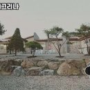 캠프예그리나 이미지