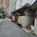 종이창문 | 인사동 데이트코스 추천, 한옥에서 즐기는 비건 한식 맛집 비건식당 채식당