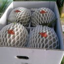 야훼농장 이미지