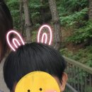 헤어아르니 이미지