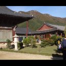 내포 검도 | 복호산 - 지룡산- 내원봉 - 삼계봉 연계산행 (경북 청도 )