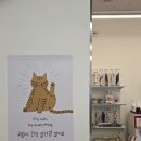 포포픽스 이미지