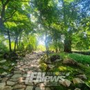 신비정원