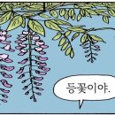 식물동네 이미지