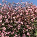 서원동-5 이미지