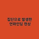 미드림 이미지